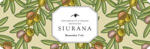 Designation of Origin Siurana: the flavour of Tarragona